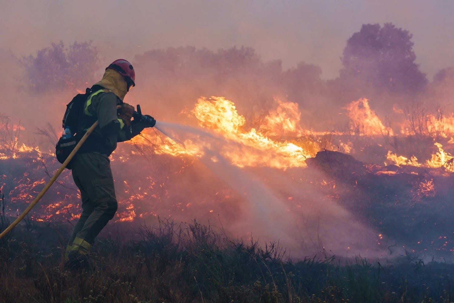 Spain and France Battle Wildfires as Intense Heat Grips Southern Europe