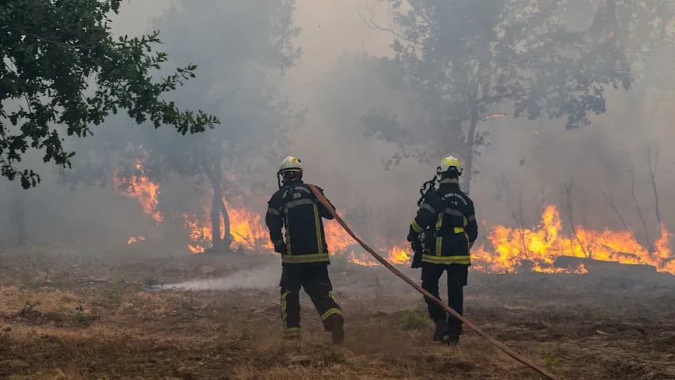 Two firefighters dragging a hose toward a line of flames burning through smoky woodland.