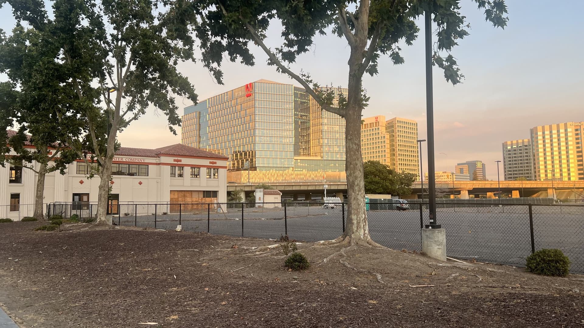 Glass office towers with red Adobe logos near the top, lit by evening sun, seen across a fenced parking lot and trees in downtown San Jose.