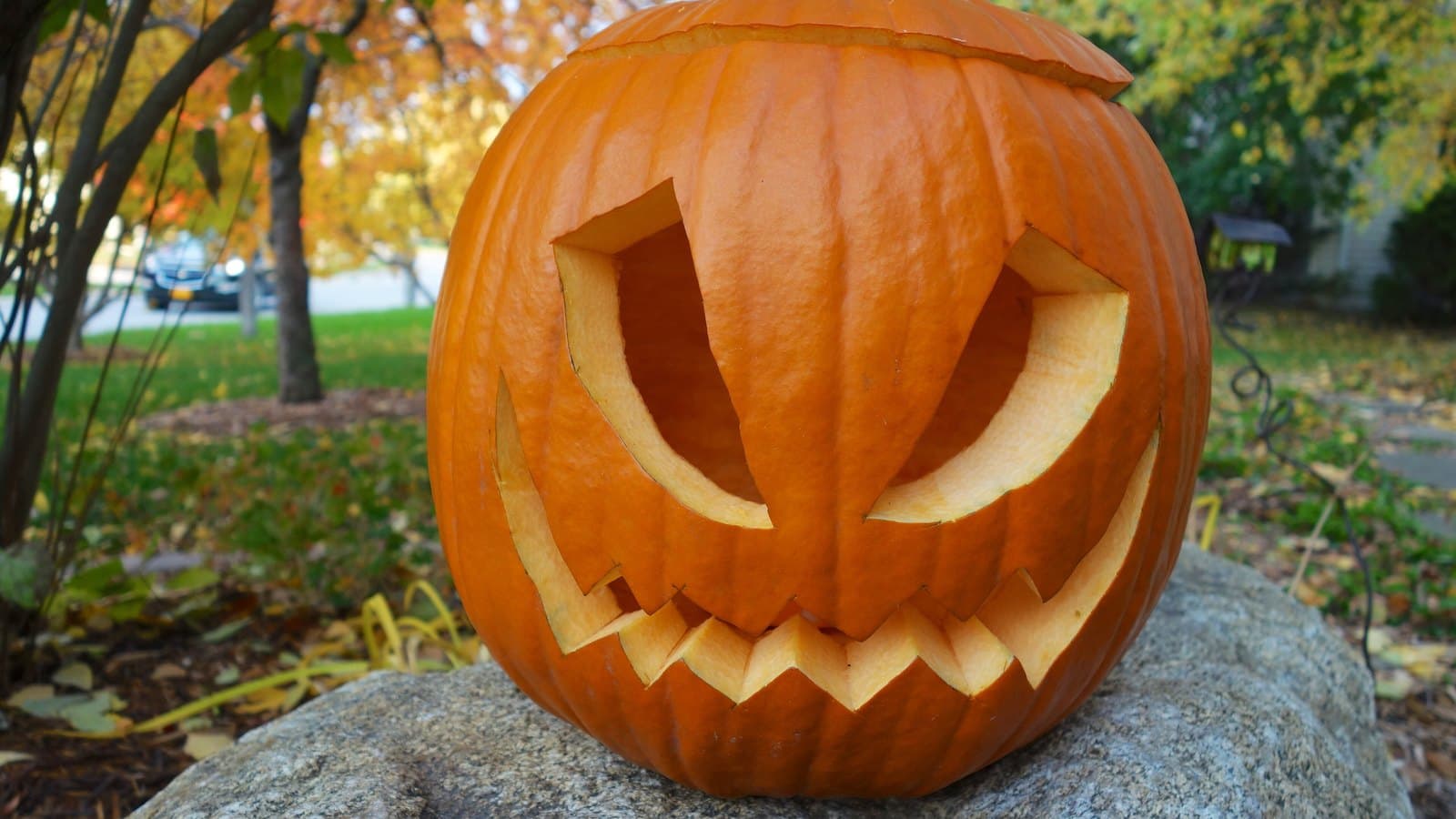 A carved orange pumpkin with angular eyes and a jagged grin, sitting on a rock in a park with autumn leaves behind it.