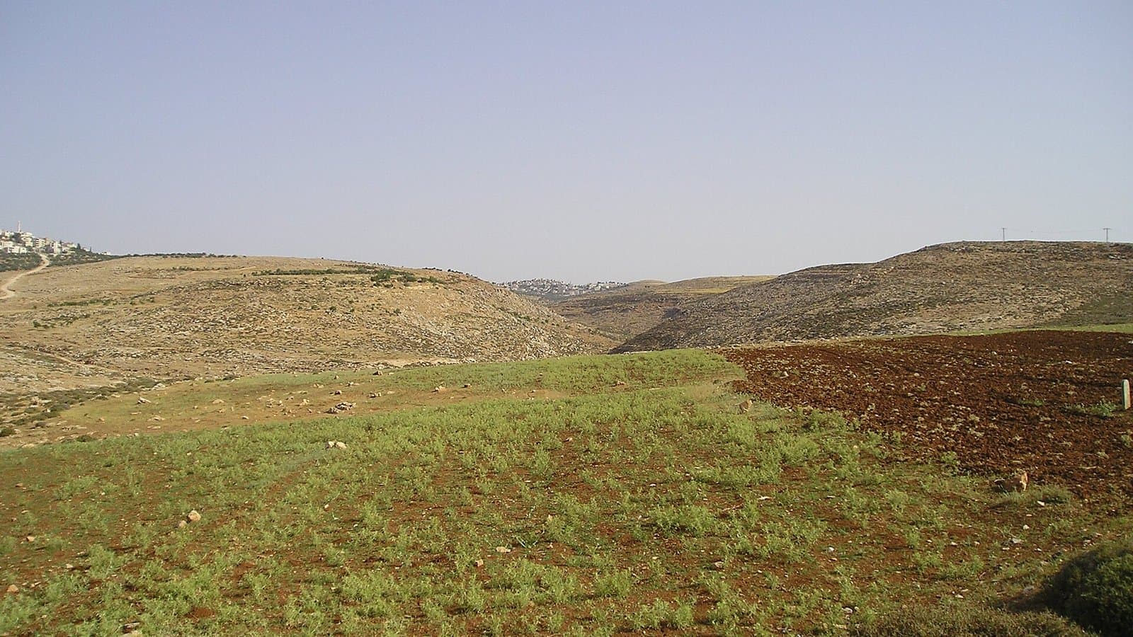 Rolling brown hills and a green field near the village of Taybeh in the West Bank under a hazy sky.