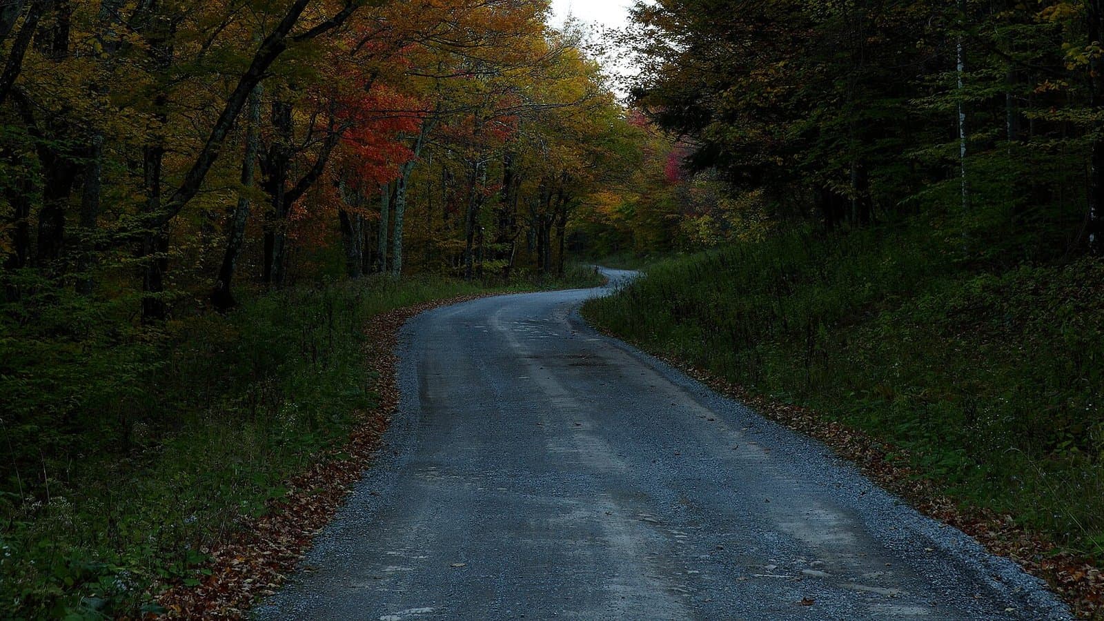 A gravel road curving through a forest with green leaves turning red and orange, under an overcast sky in West Virginia.