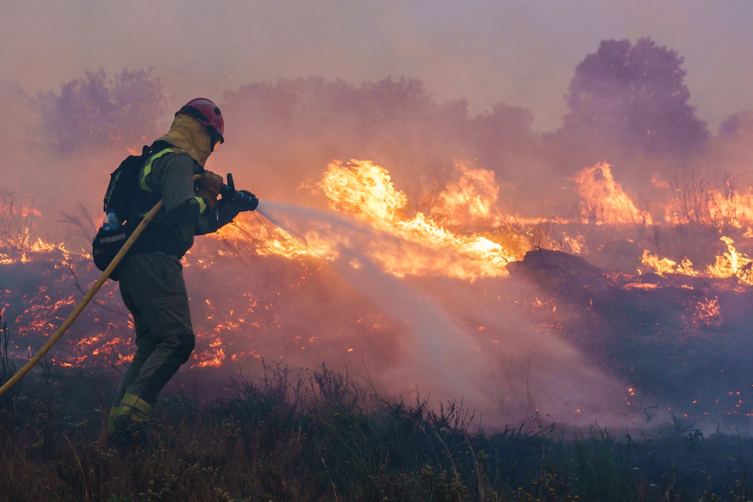 Spain and France Battle Wildfires as Intense Heat Grips Southern Europe