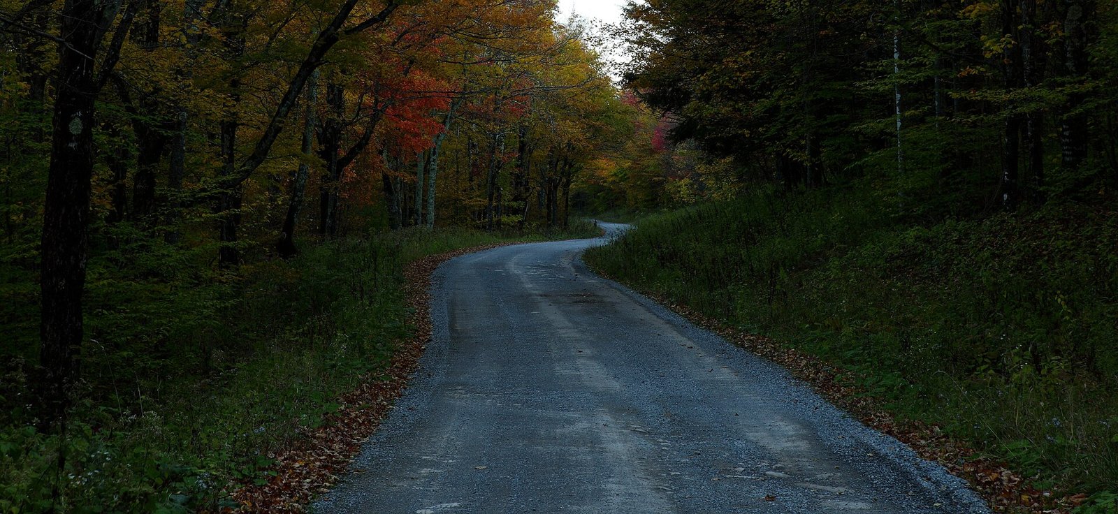 A gravel road curving through a forest with green leaves turning red and orange, under an overcast sky in West Virginia.