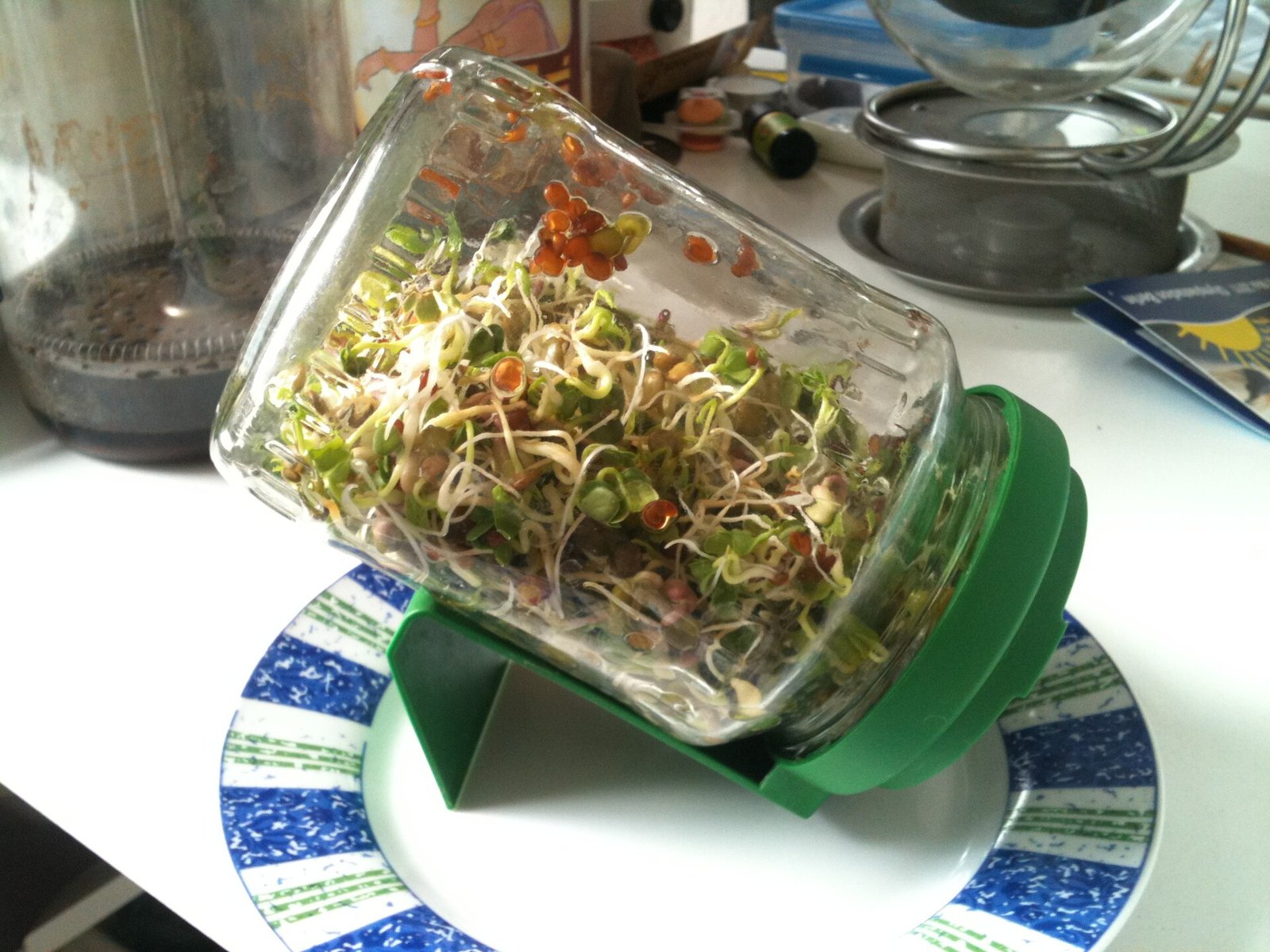 A glass sprouting jar tipped on its side on a green stand, filled with tangled young sprouts and seeds.