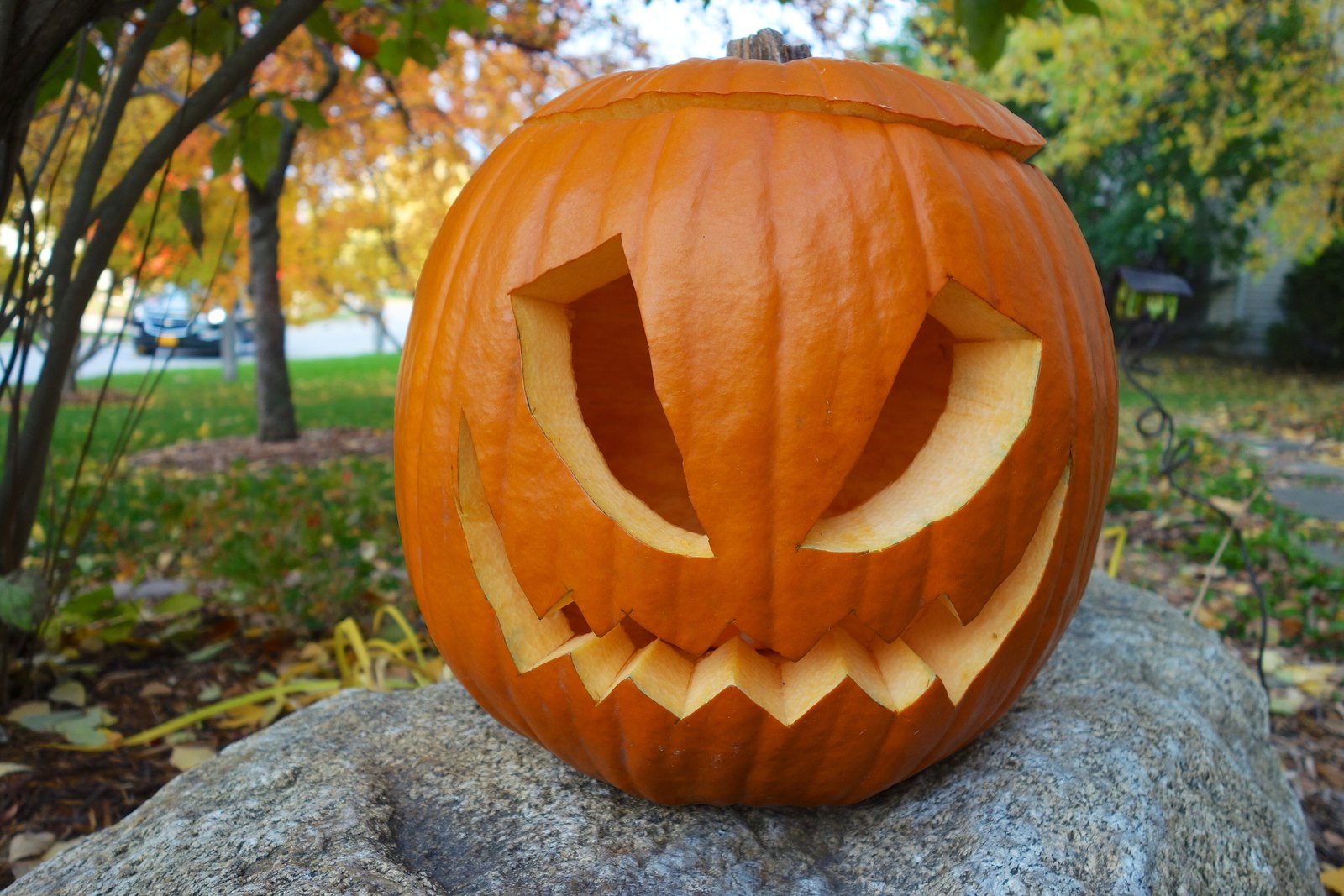 A carved orange pumpkin with angular eyes and a jagged grin, sitting on a rock in a park with autumn leaves behind it.